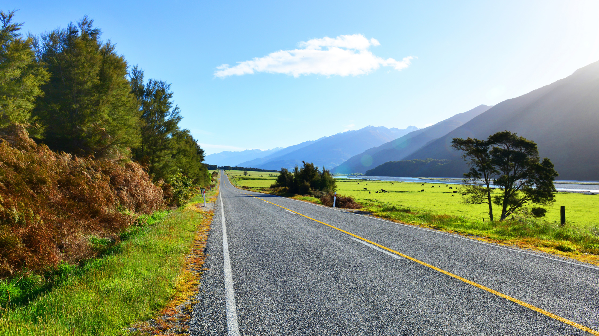 Signature South Island