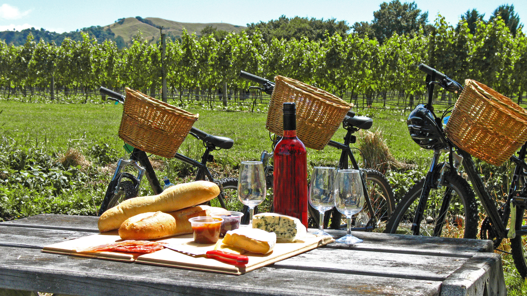 North Island Wine Escape