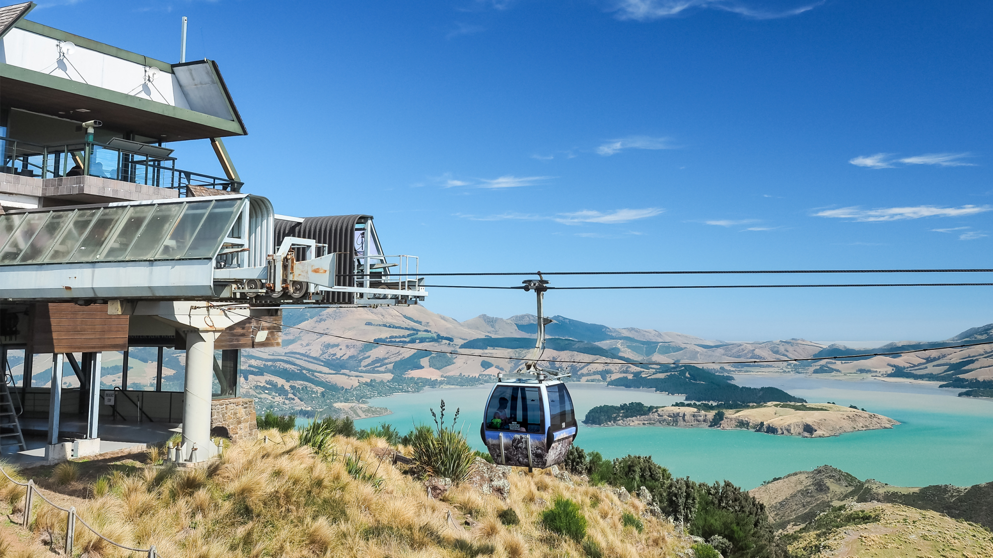 Christchurch Highlights