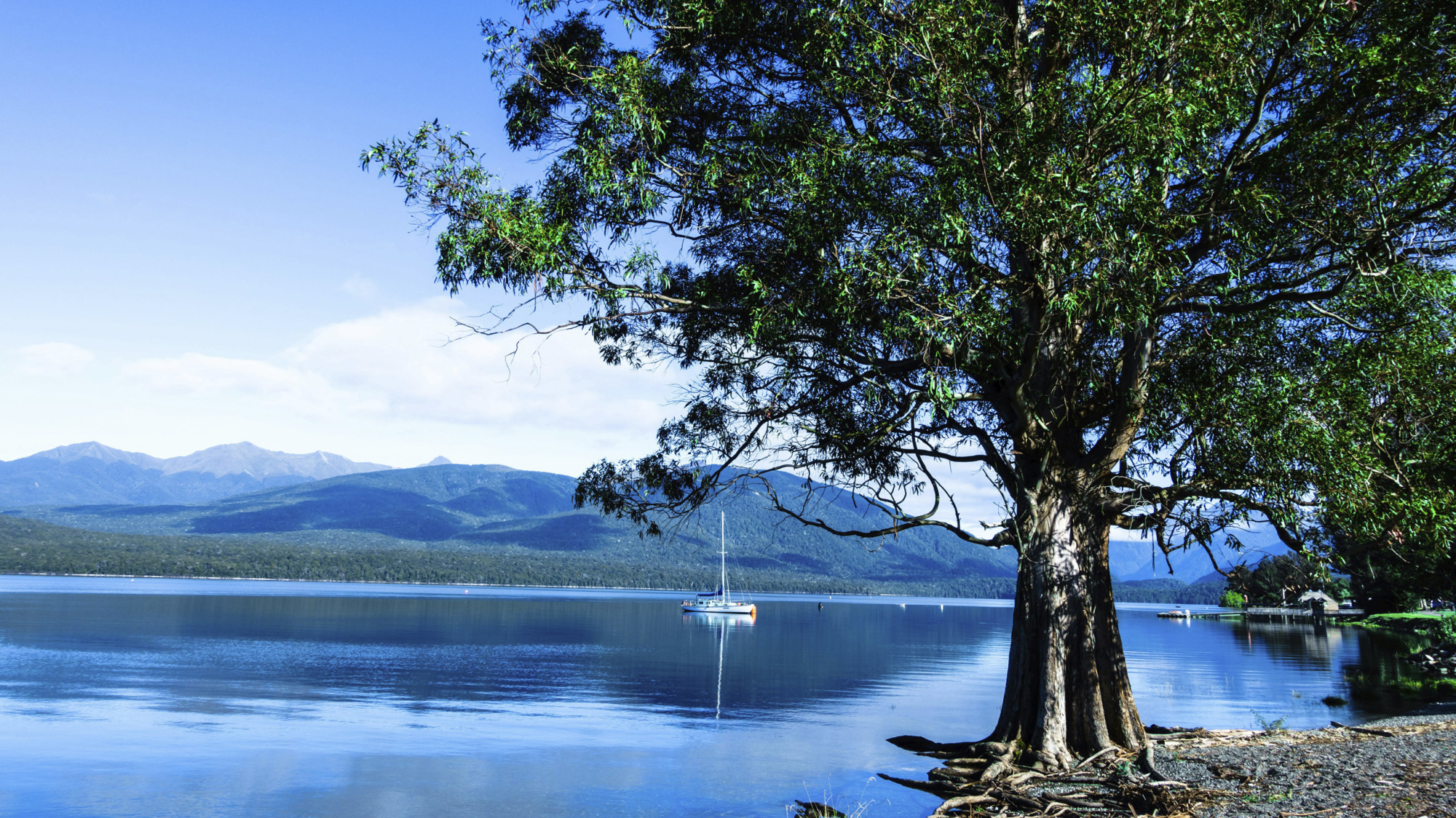 Southern Scenic Route