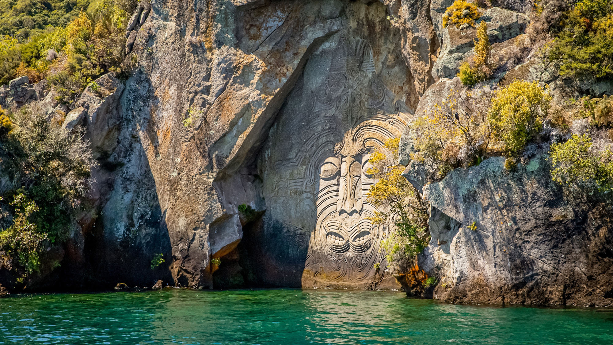 New Zealand Uncovered