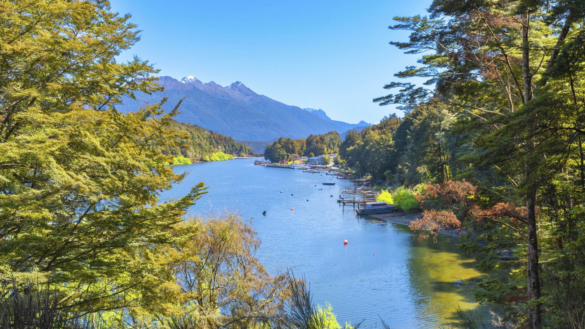 New Zealand Uncovered