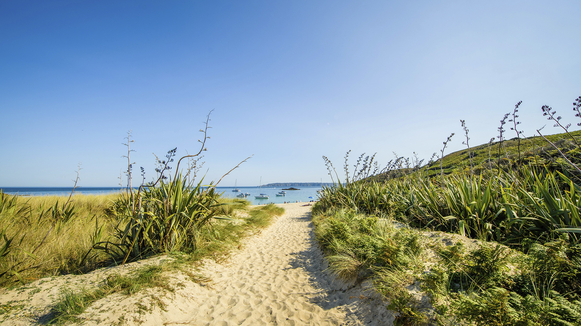 Guernsey Discovery