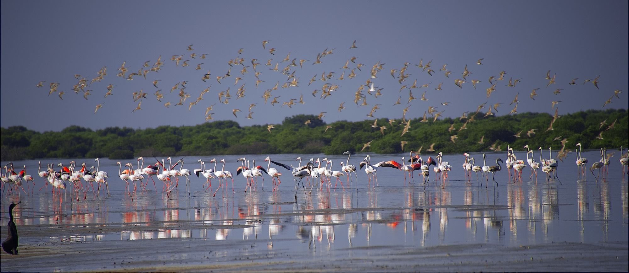 Ajman holidays
