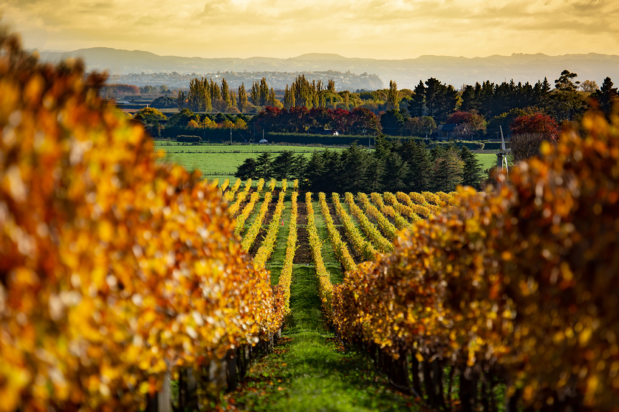 North Island holidays