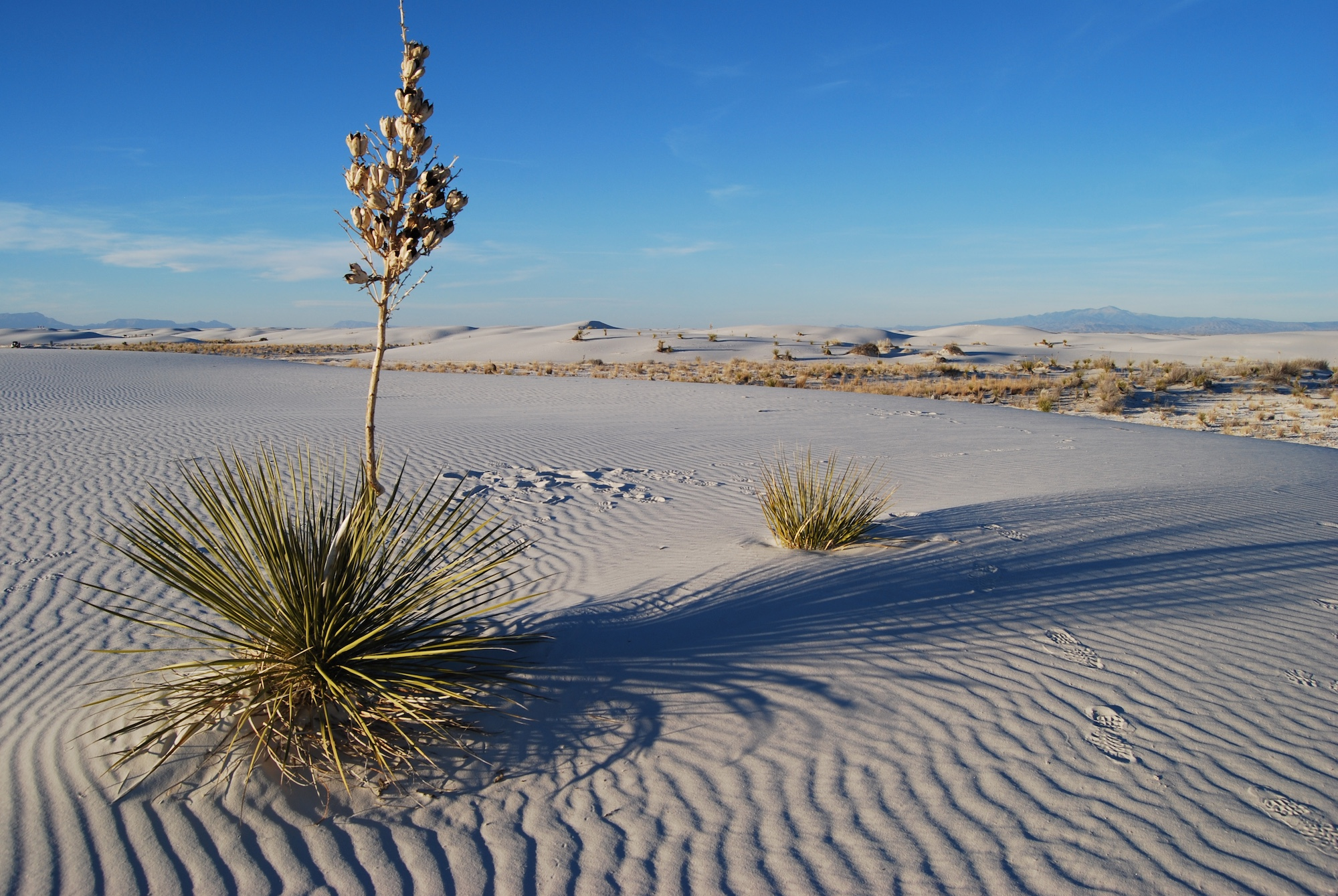 White Sands NP New Mexico_shutterstock_1798399144.jpg