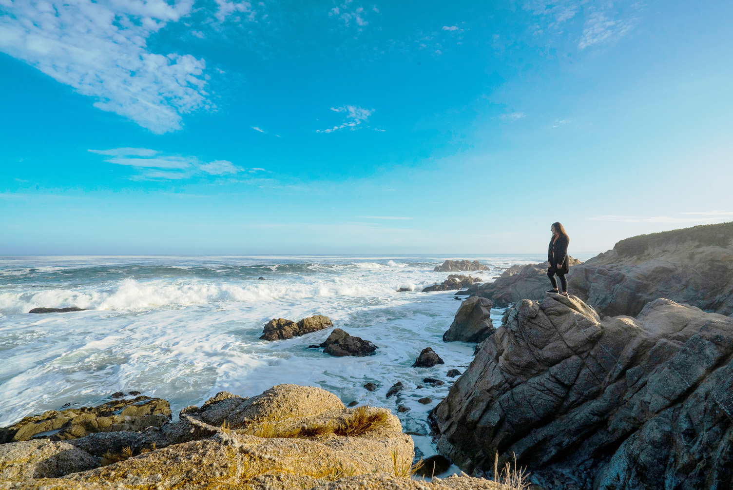 17 mile drive_Monterey