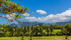 Discover Nadi