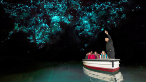 Waitomo Cave Tour & Theatre Entrance