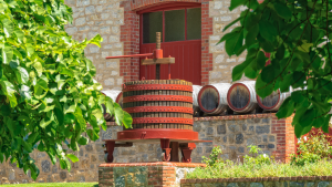 Uncork the Barossa Valley
