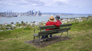 Auckland City Revealed