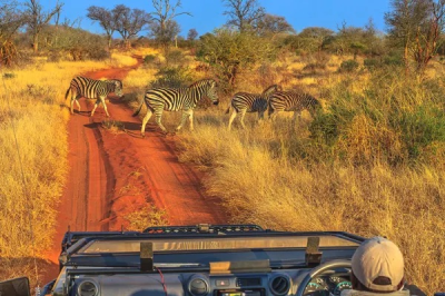 Luxury Cape Town, Rovos Rail and Pilanesberg Safari