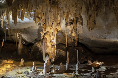 Great Ocean Road & Kangaroo Island Escape