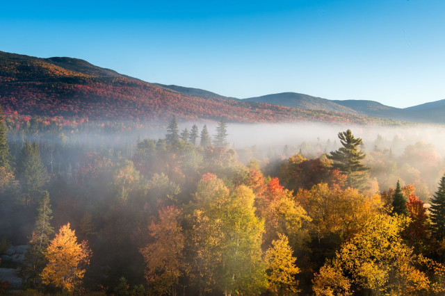 Colours of New England