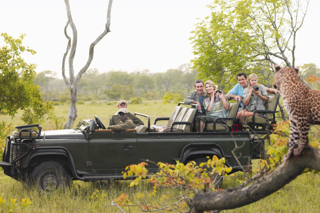 Cape Town & Kruger