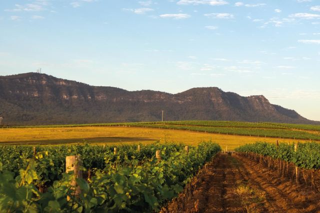 Hunter Valley Experience