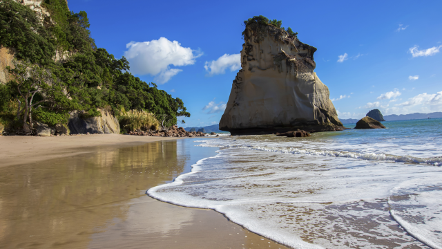 Best of the North Island