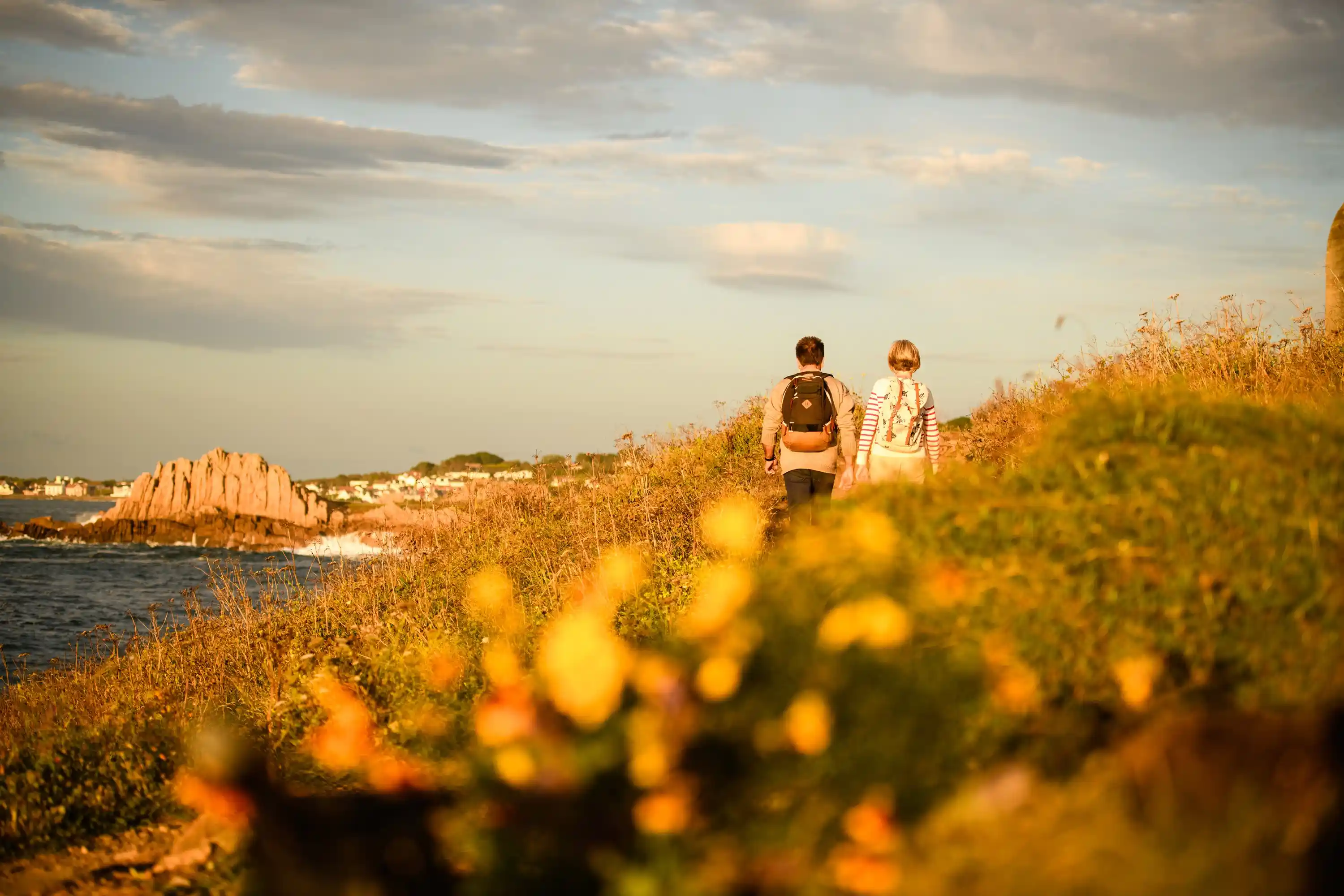 Country Guernsey