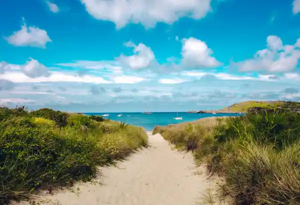 About Channel Islands Direct