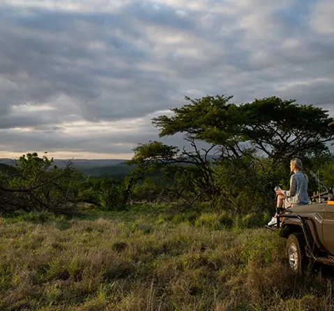 mfulawozi-wilderness