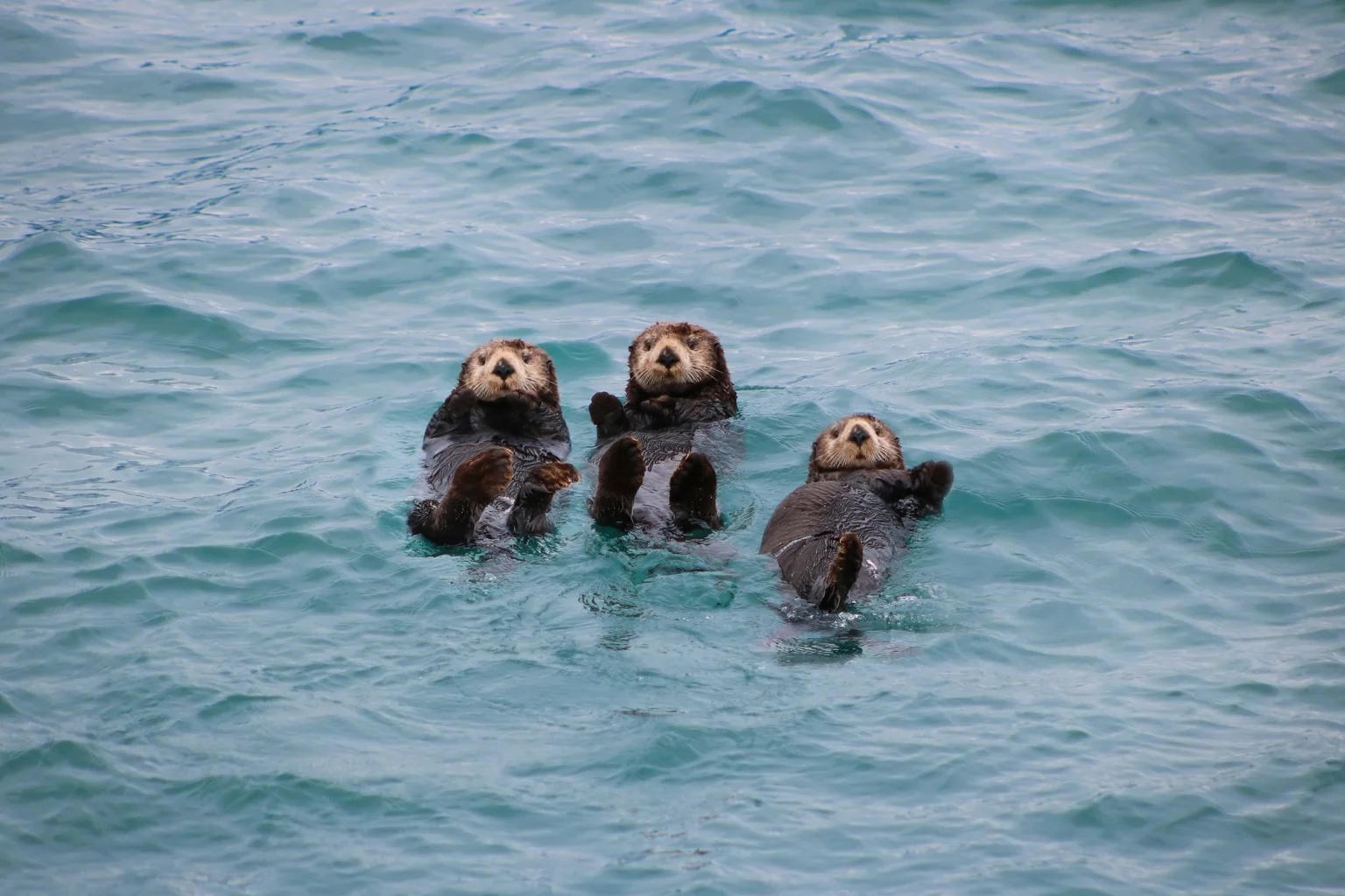 Alaska holidays