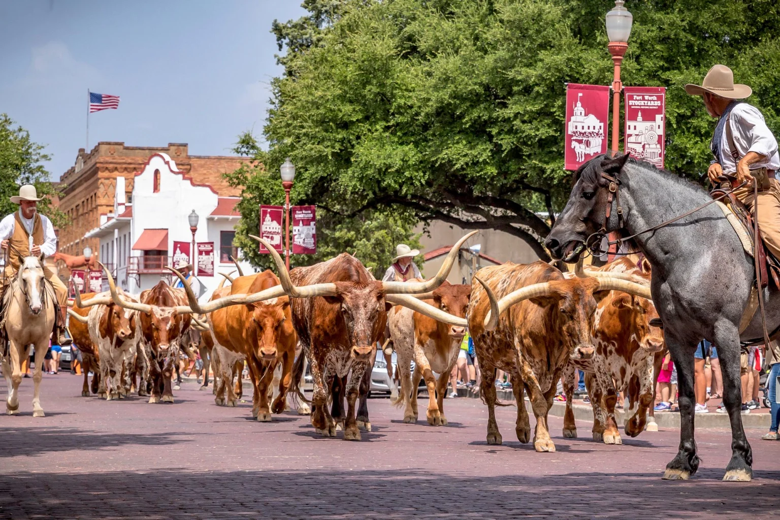 Dallas & Fort Worth holidays