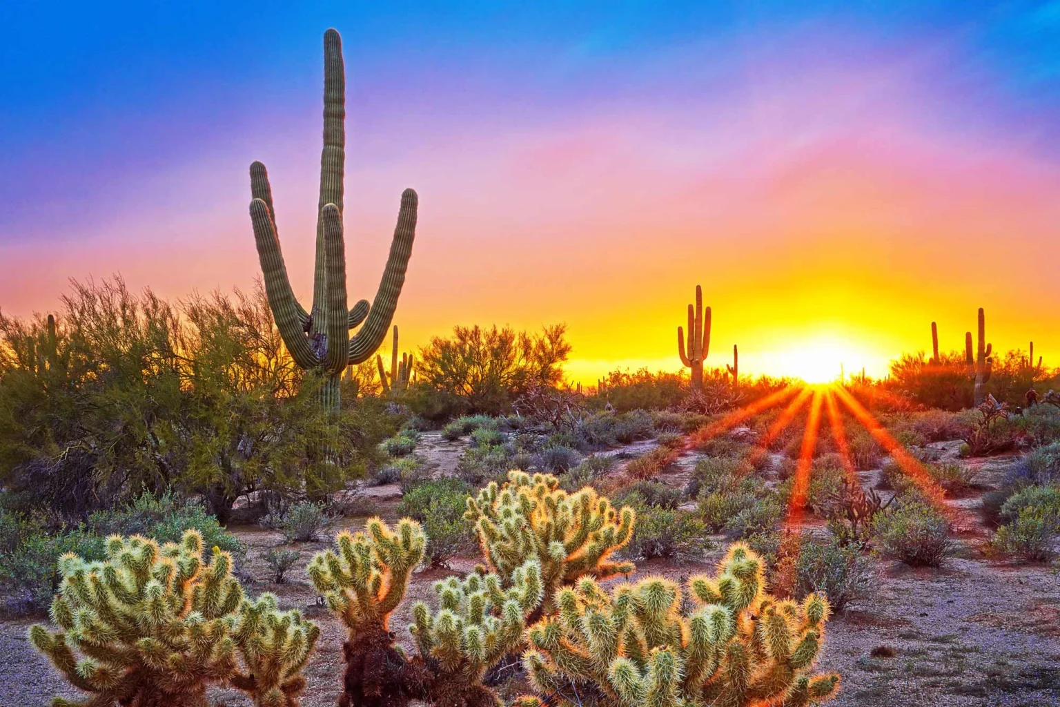 Phoenix, Scottsdale & Rest of The West holidays