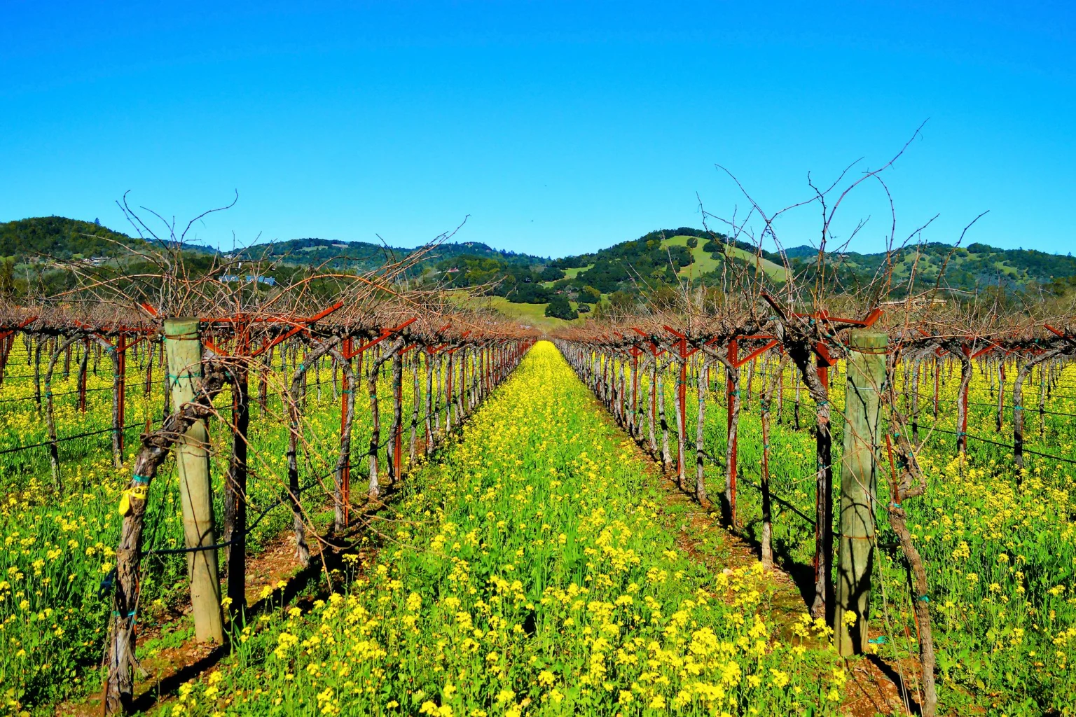 California Wine Country holidays