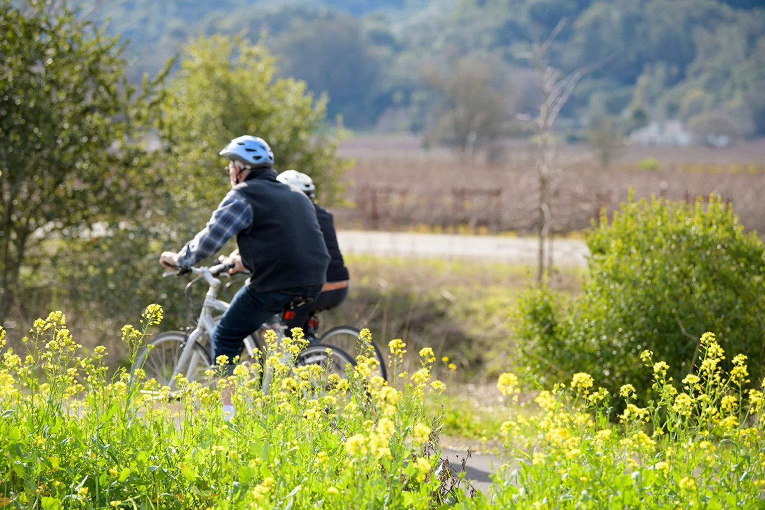 California Wine Country holidays