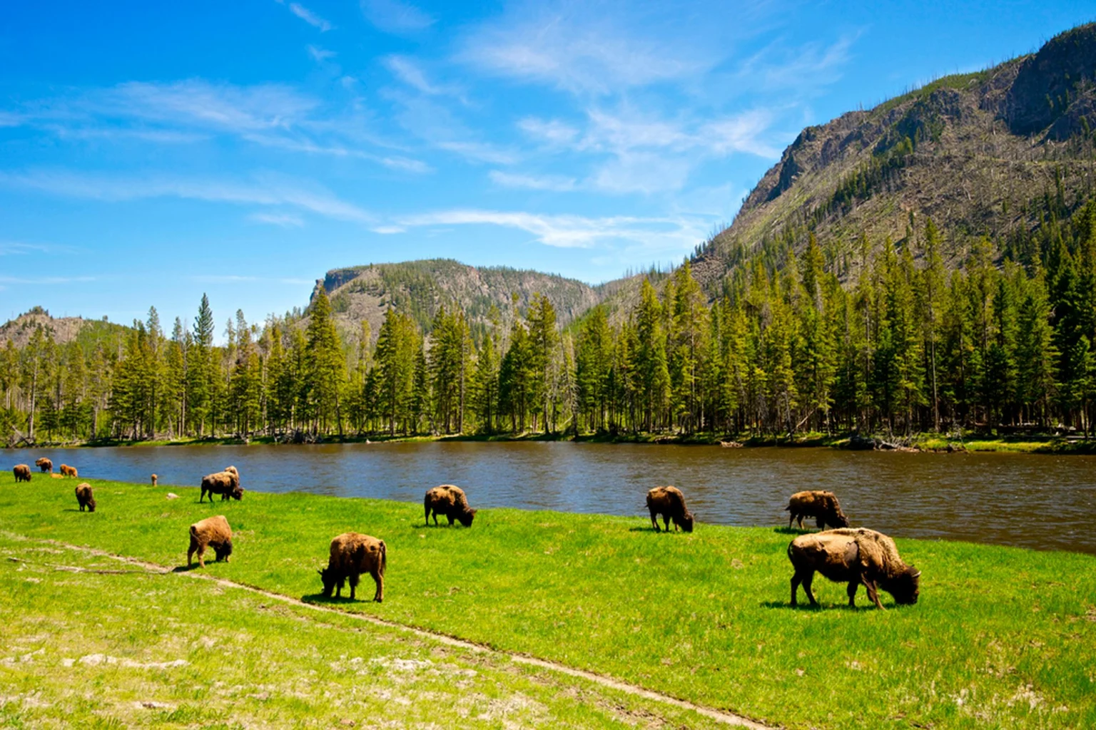 Yellowstone National Park holidays
