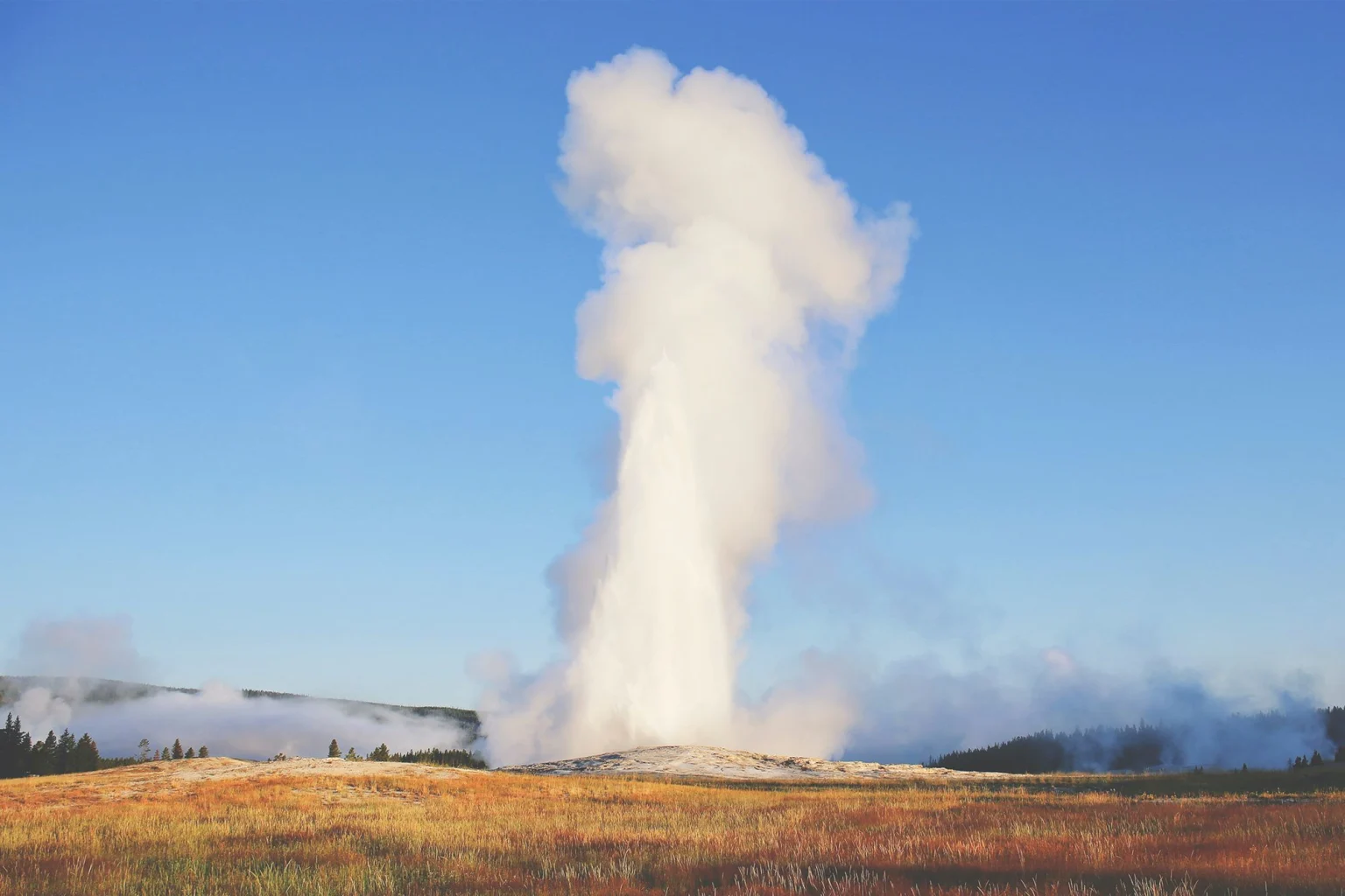Yellowstone National Park holidays