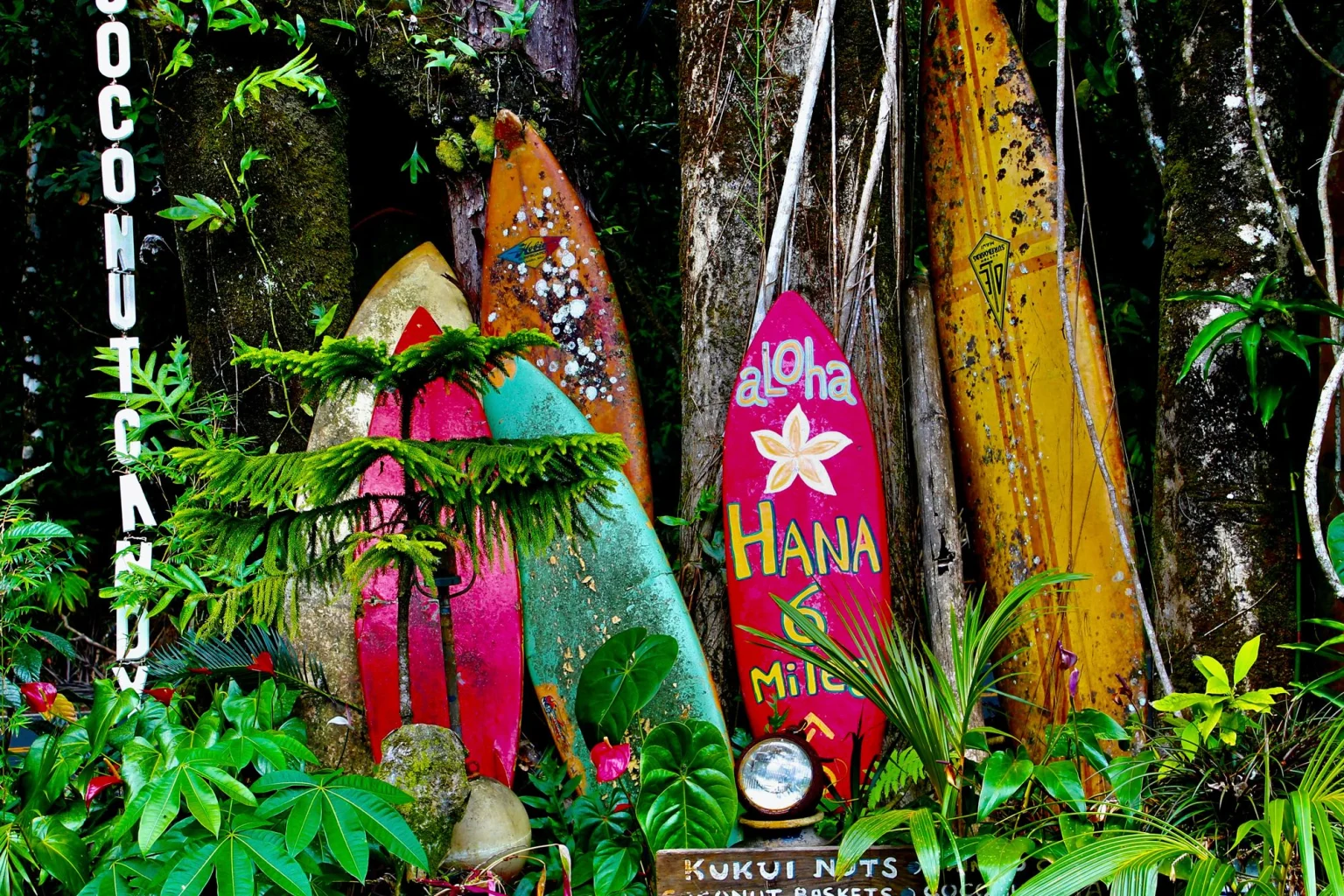Oahu holidays
