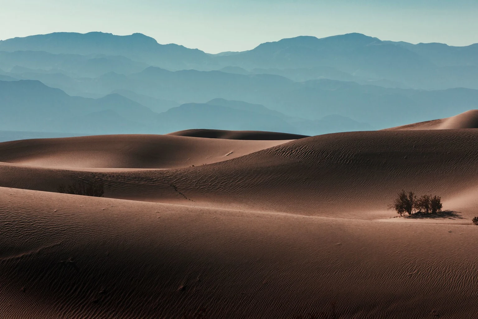 Central & North California holidays