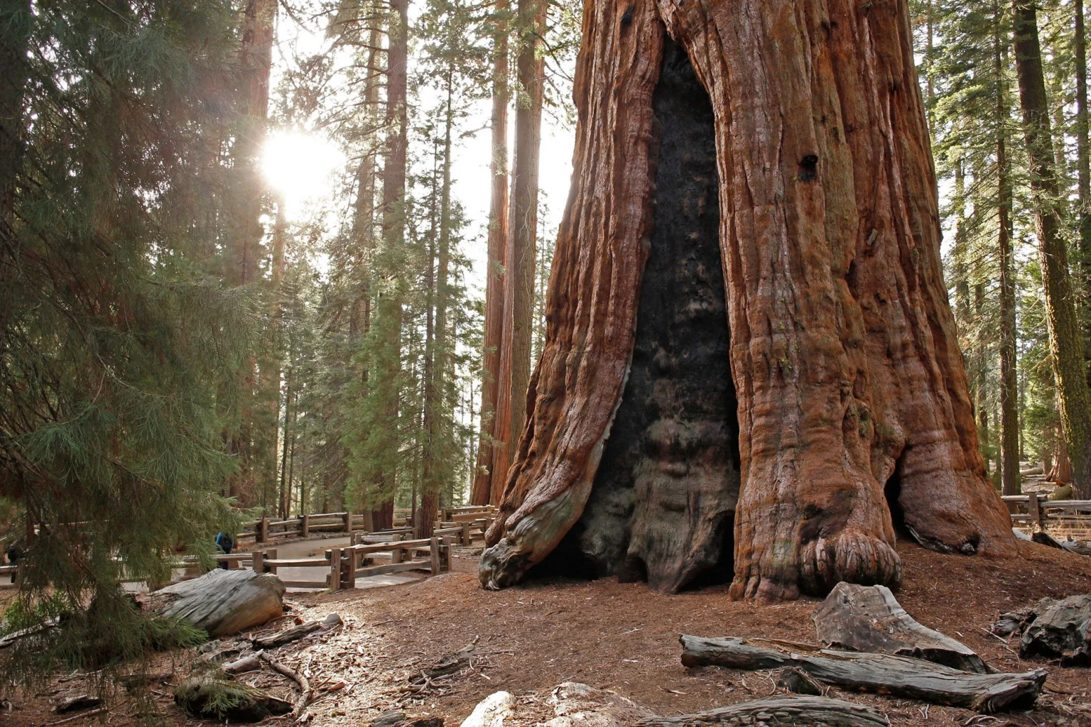 Central & North California holidays