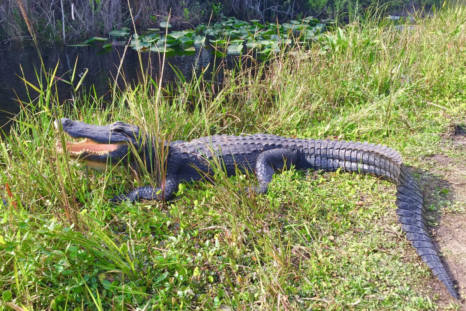Florida holidays