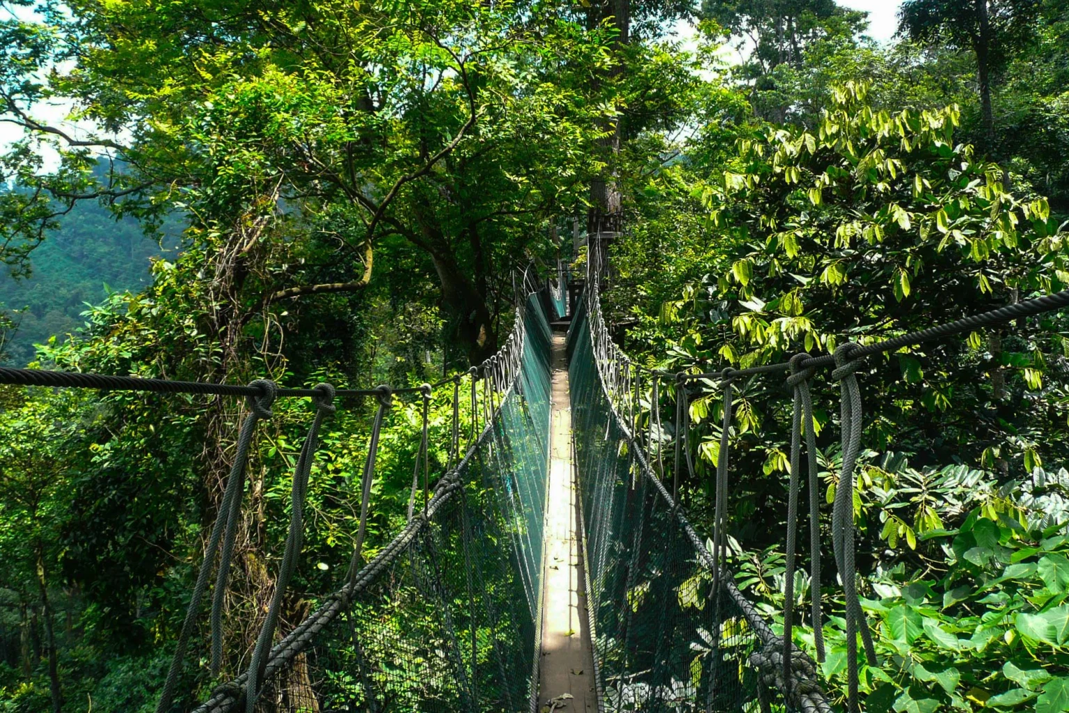 Taman Negara holidays