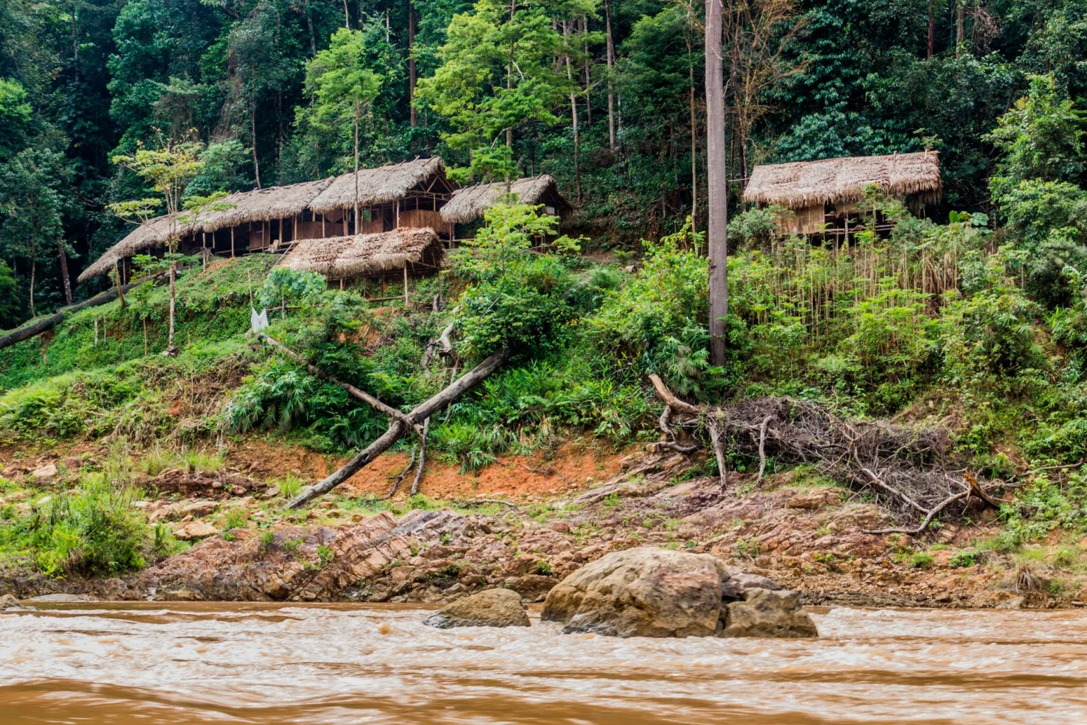 Taman Negara holidays