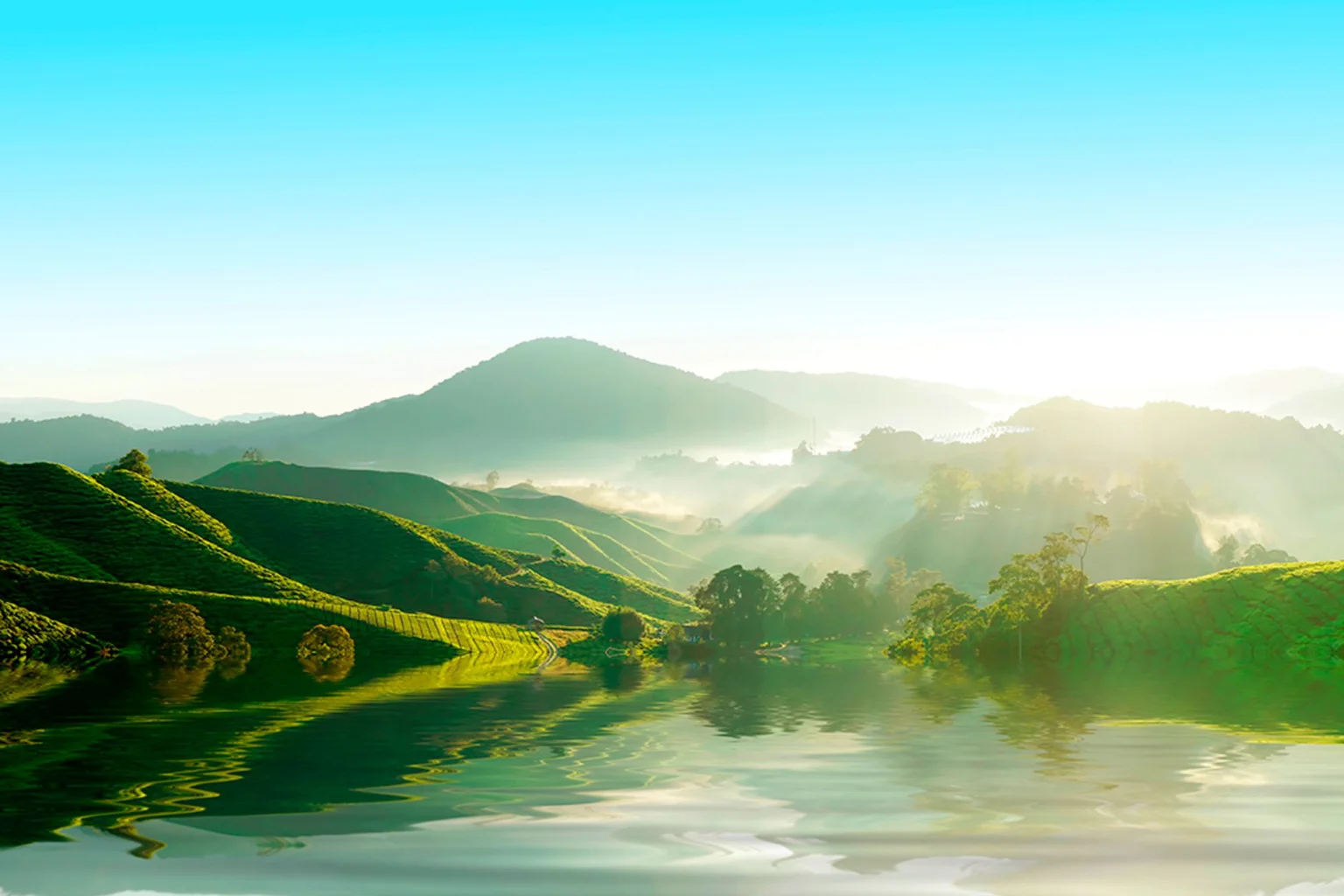 Cameron Highlands holidays