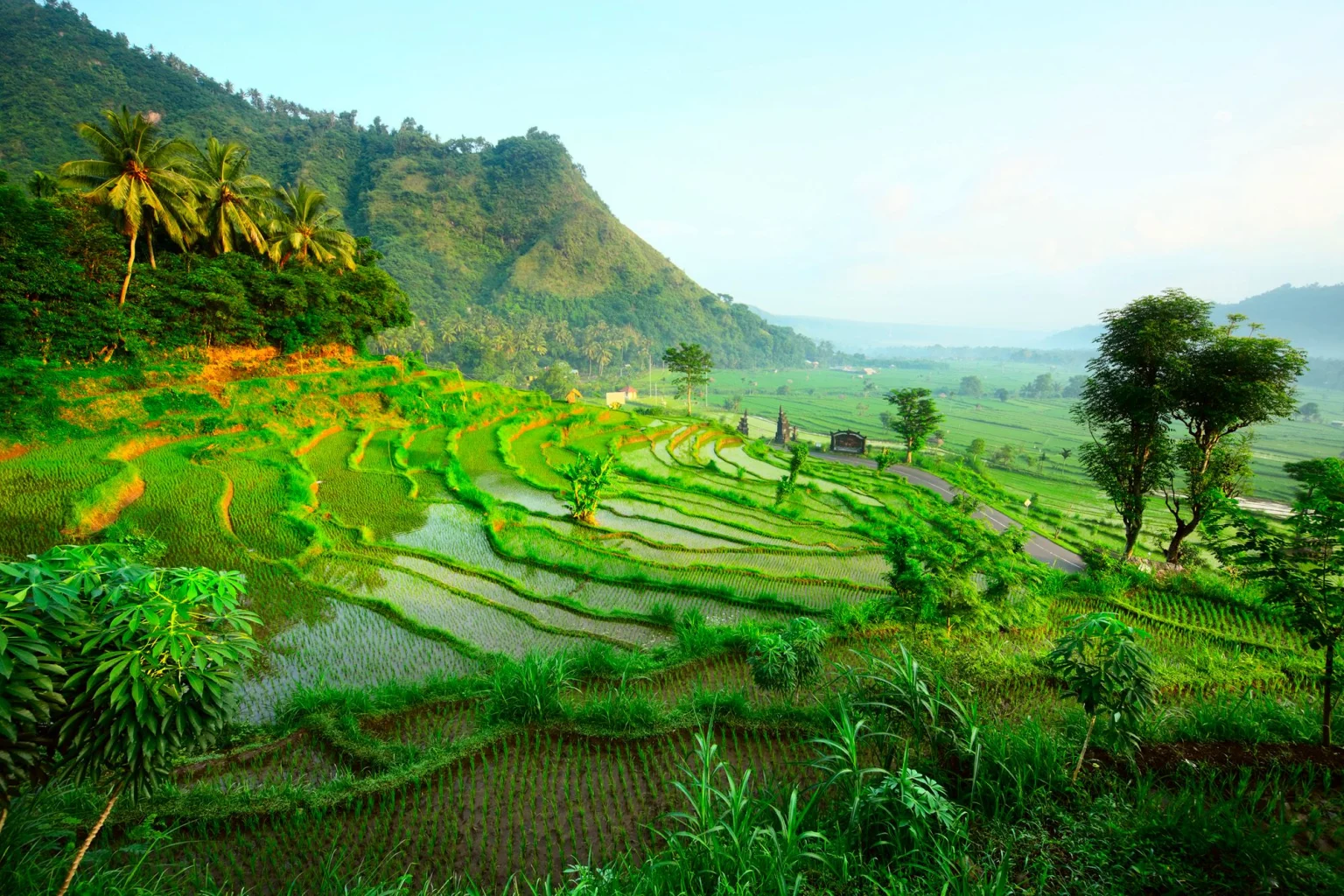 Ubud holidays