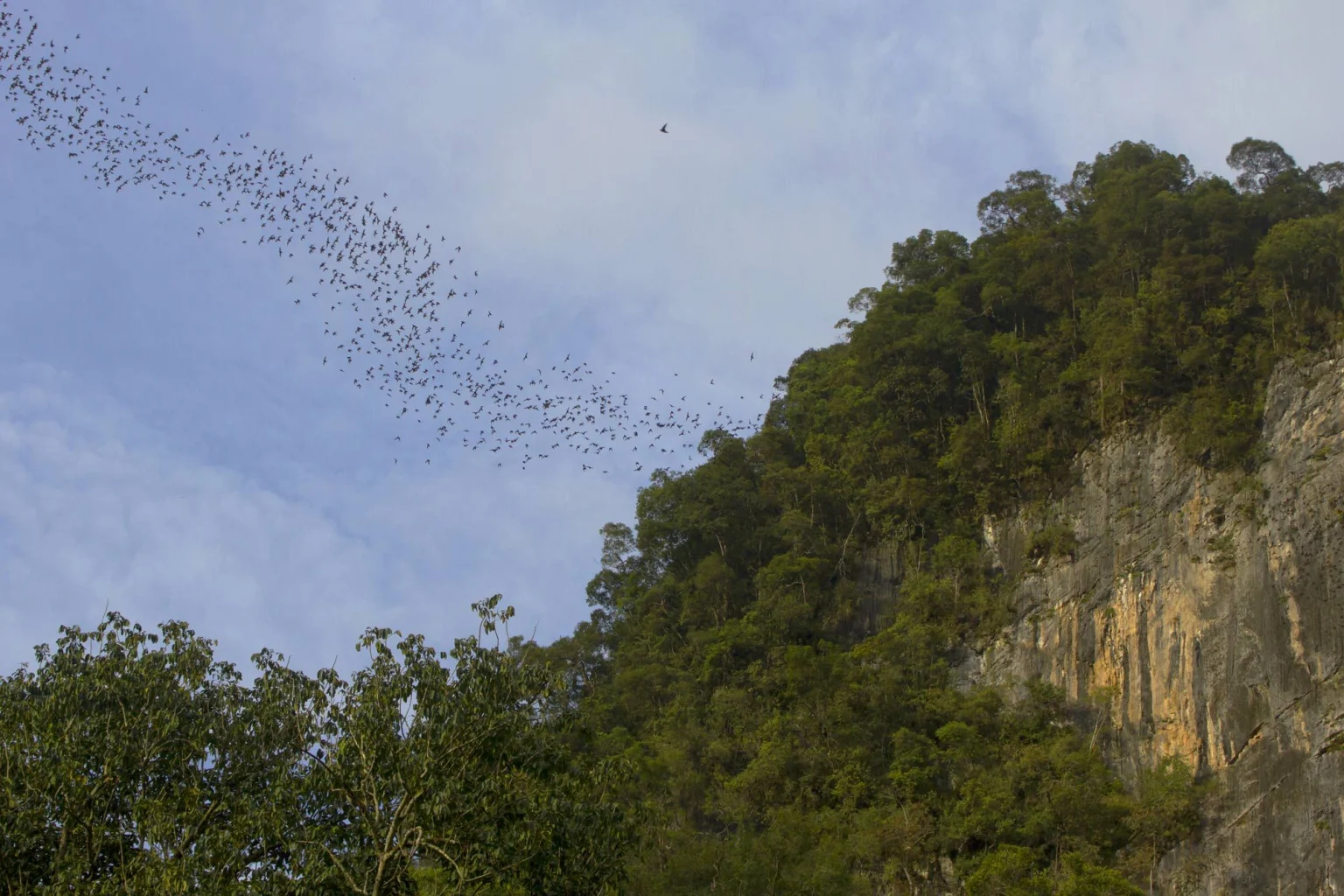 Gunung Mulu National Park holidays