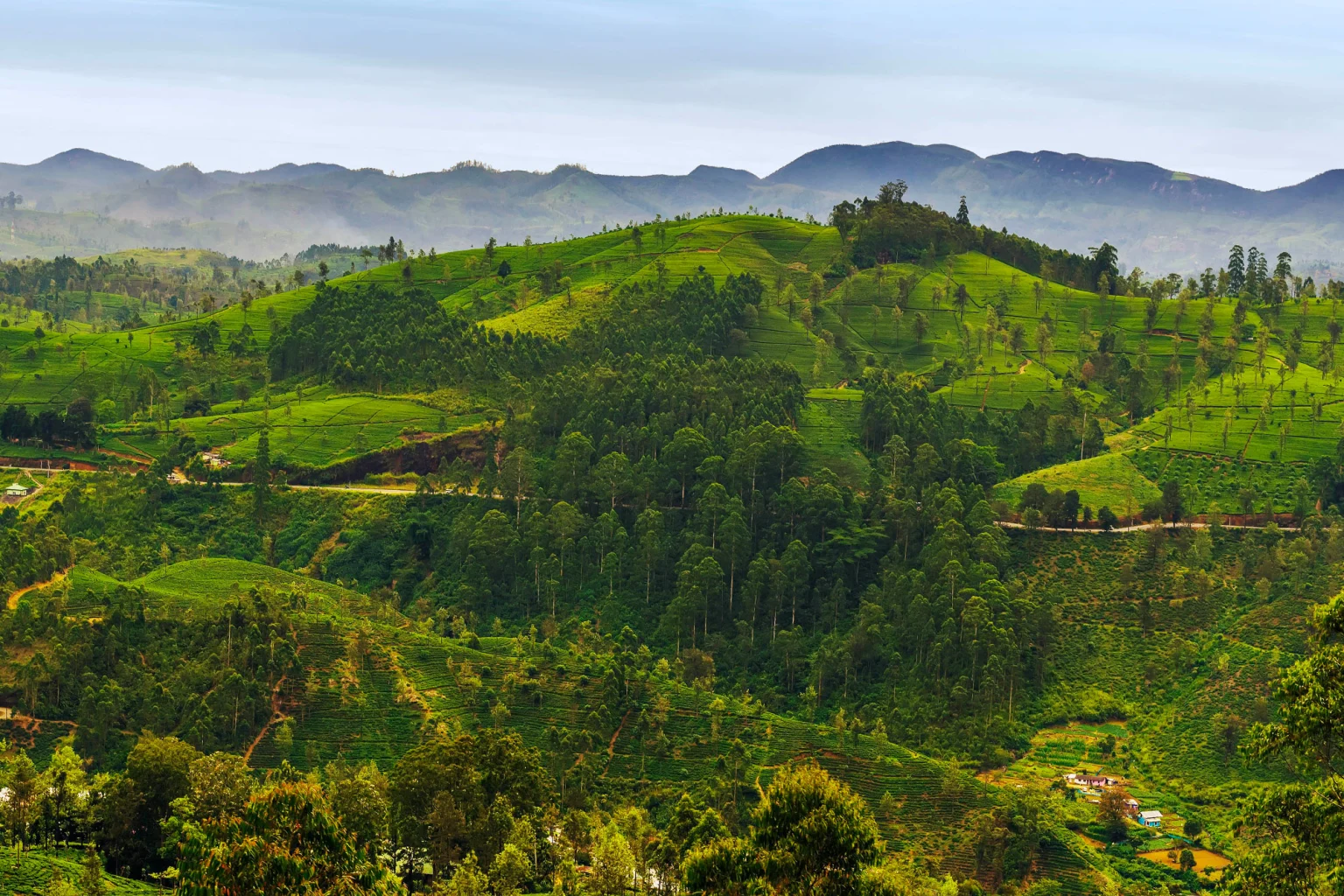 Nuwara Eliya & Ella holidays