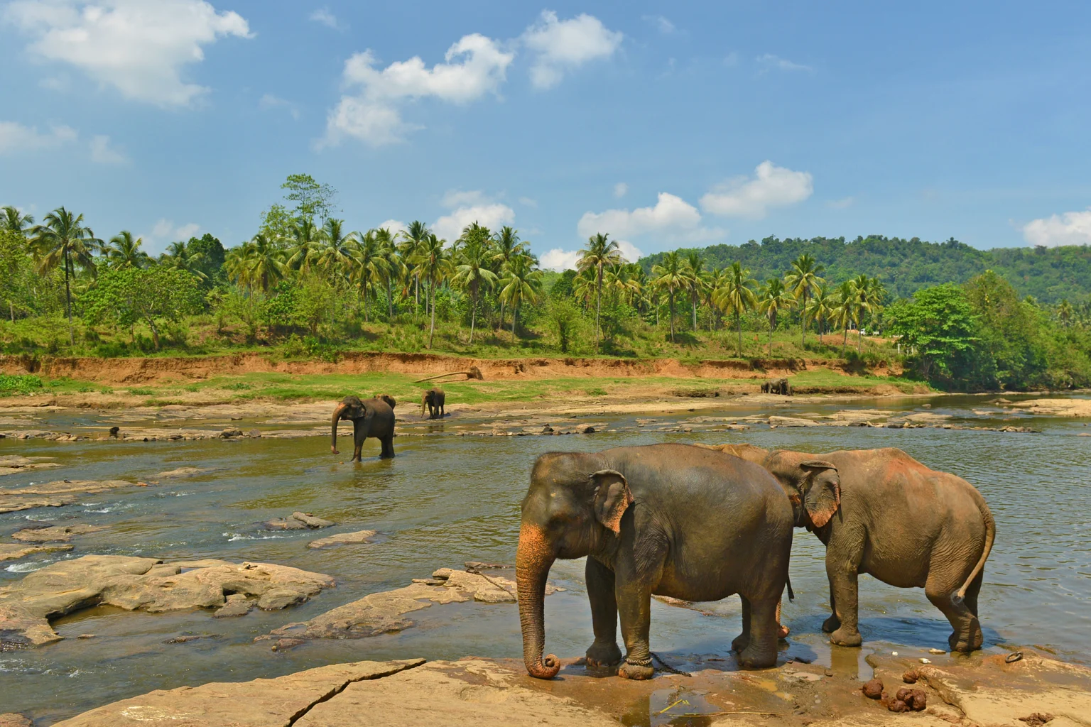 Yala National Park holidays