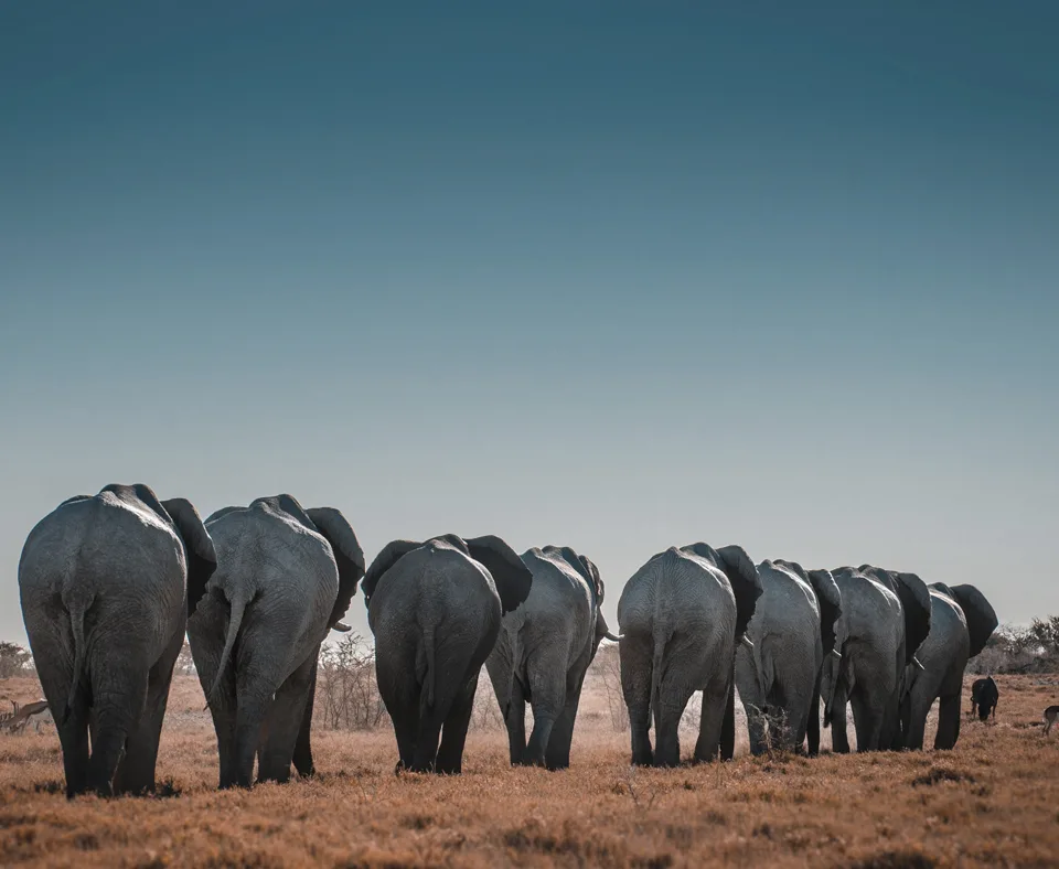 Namibia holidays