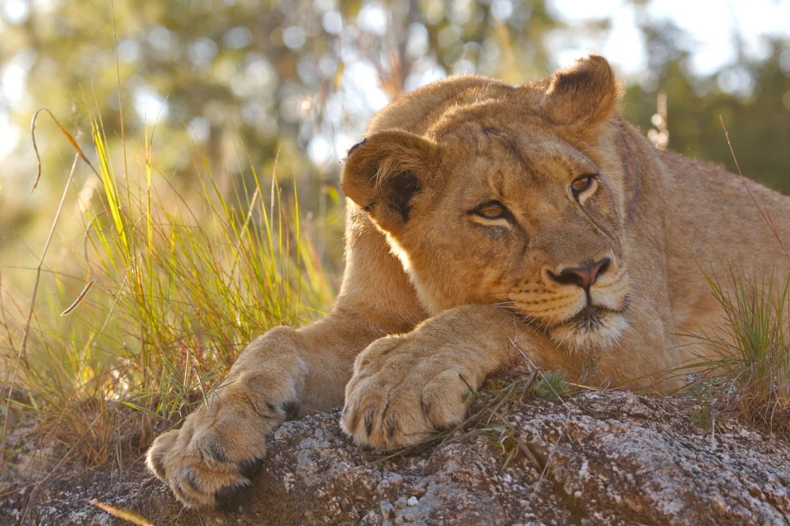 Kruger Region holidays