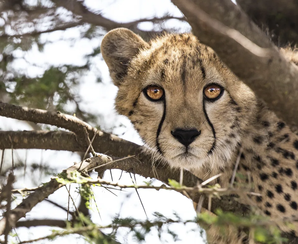 Kruger Region holidays