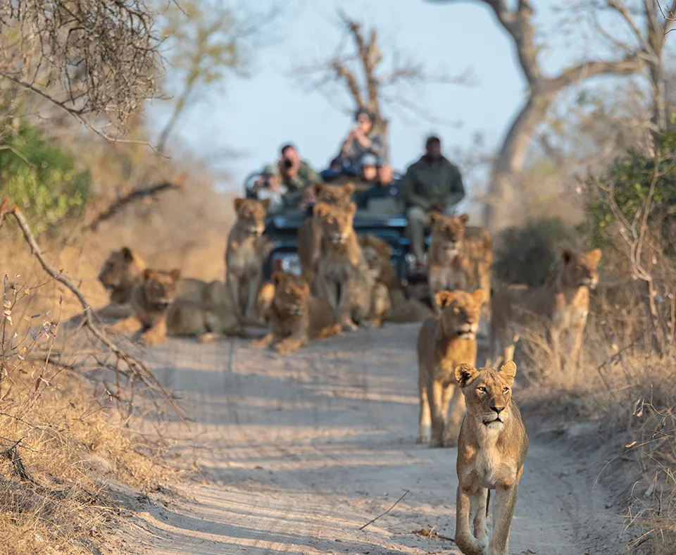 Kruger Region holidays