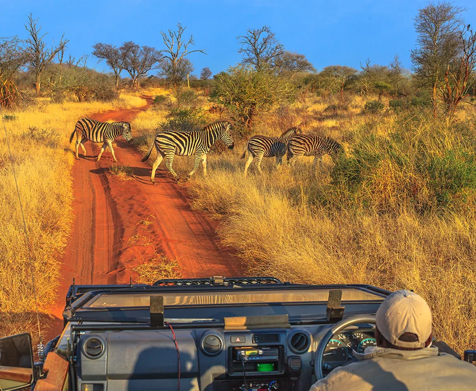 Sun City & North West holidays