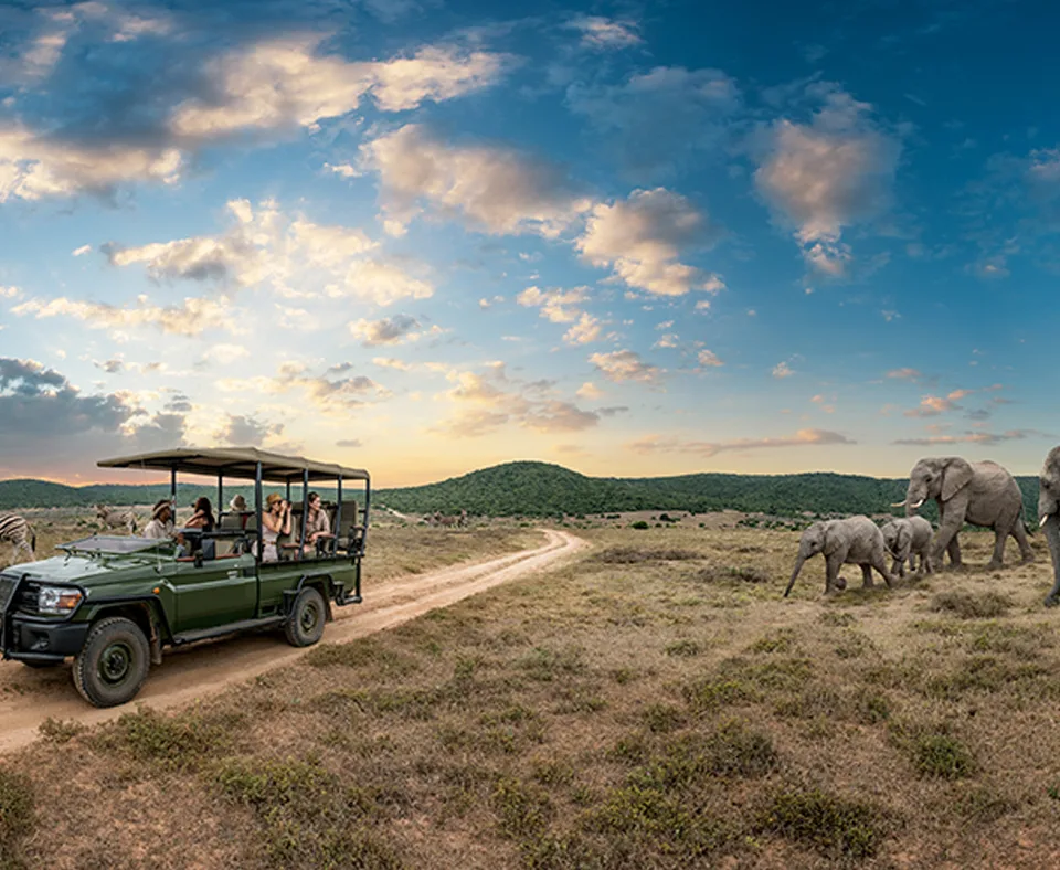 Eastern Cape Game Reserves holidays