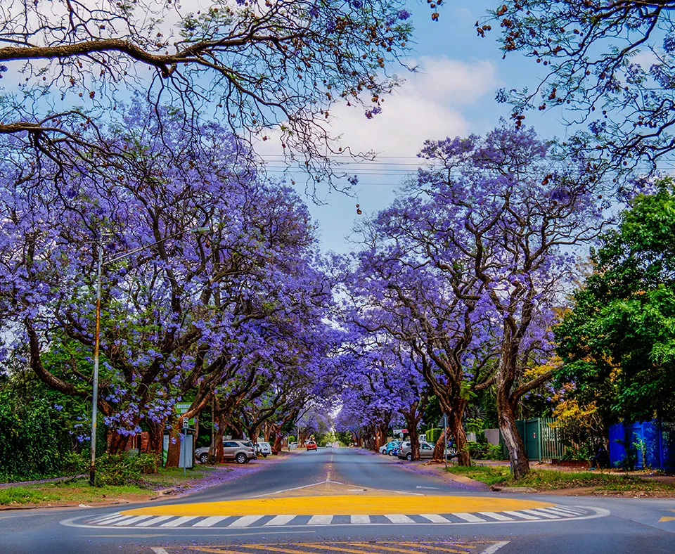 Jo'burg & Pretoria holidays
