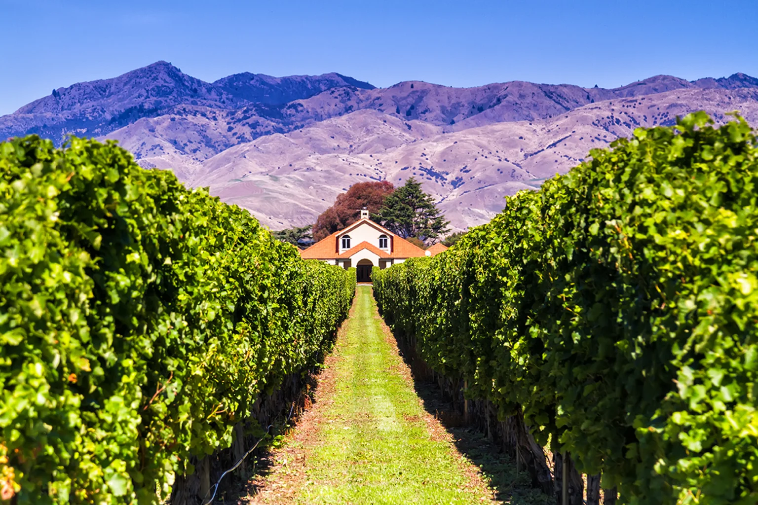 Nelson, Marlborough & Kaikoura holidays